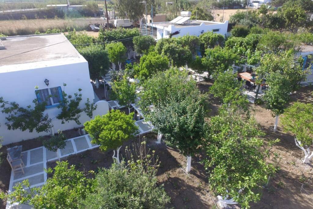 Apartmán Perivoli 4-Chora Agkidia Exteriér fotografie